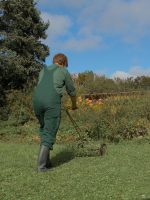 Latzhose Leonn – Bild 14