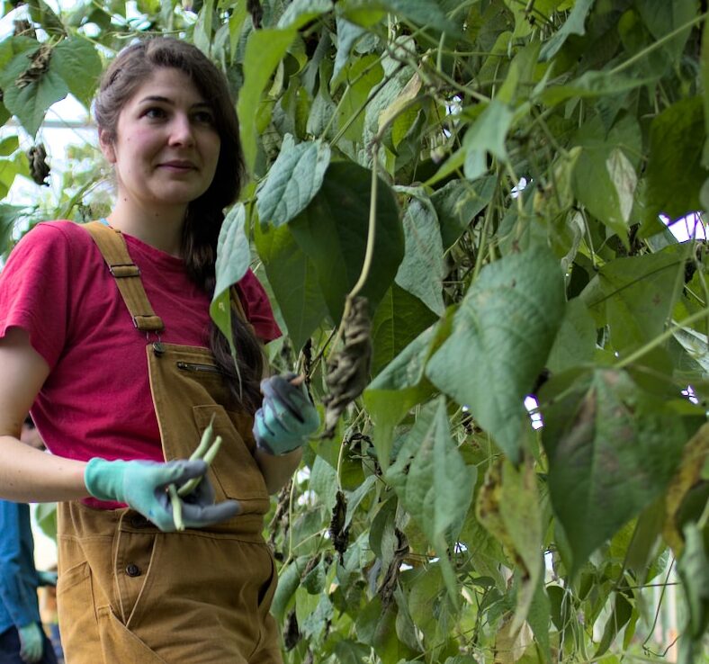 enywear.workwear.bib.women11-min